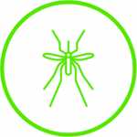 mosquito-tigre-denia-e1526154807643